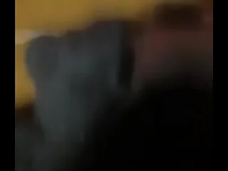 Osos maduros