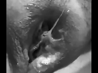 Chata link up se toca palazzo el salvador Lima Per&uacute; caseros chupa pene