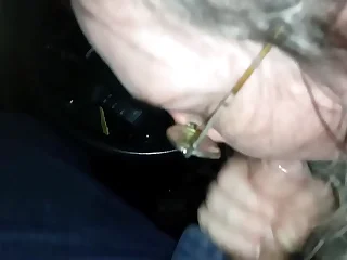 Old bitch giving hound